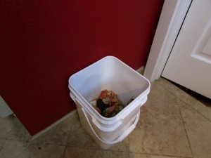 The scrap bin in my kitchen.